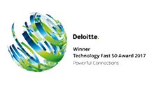 Logo Award Deloitte 2017