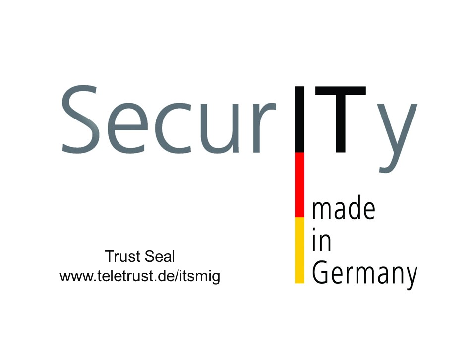 Logo IT Security