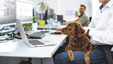 Hund liegt auf dem Schoß eines Mitarbeiters.